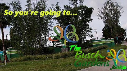 So you're going to Busch Gardens Tampa