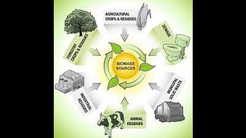 Renewable Energy [Episode 8] Biomass Energy