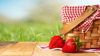 Relaxing Music for a Picnic - Picnic in the Park ★578