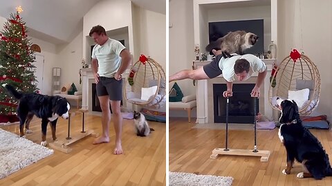 Guy Struggles To Perform Handstand With Pesky Pets