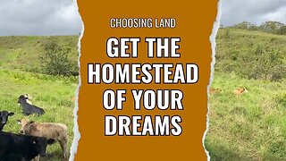 Get The RIGHT Piece of Land the First Time for Off Grid Homesteading