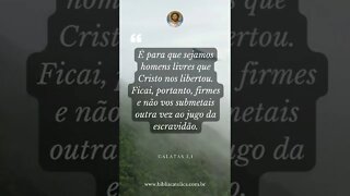 Gálatas 5,1 - É para que sejamos homens livres que Cristo nos libertou. Ficai, portanto, firmes e nã