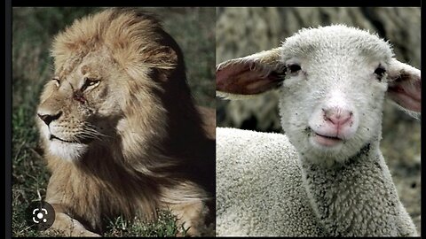 March In Like a Lion or Lamb??