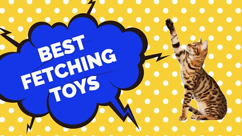 Best cat toys for fetching
