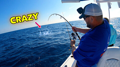 INSANE offshore fishing tossing out live bait!