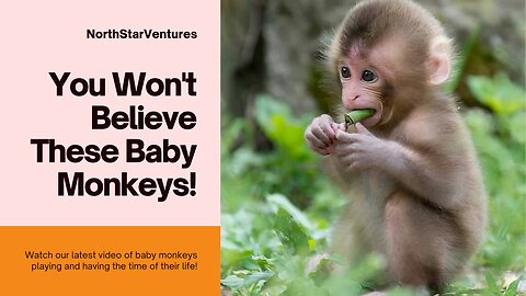 You Won't Believe These Baby Monkeys! 🐒💕 | Secrets of the Wild Unveiled!
