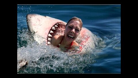 SHARKS ATTACK PEOPLE IN REAL LIFE!!! 😱 😱 SCARYYYYY!!!