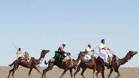 Camel racing in Zahedan,Iran