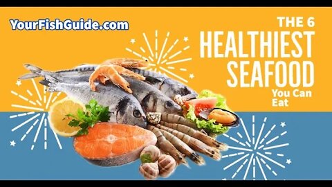 The 6 Healthiest Seafood You Can Eat | YourFishGuide.com