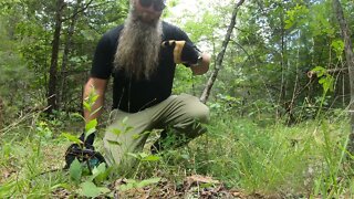 Using the Makita XCU06 electric chainsaw to build dirt bike trails at the White Oak Adventure Lodge