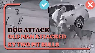 Dog Attack: Two Pit Bulls Attack Old Man, Example Of Right & Wrong Way To Defend Against Dog Attack