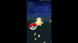 Veja a minha live de Pokémon GO