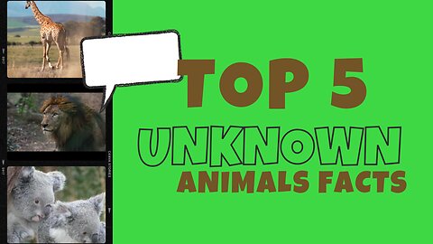 Top 5 Unknown Animal Wonders: Journey through Earth’s Incredible Creatures