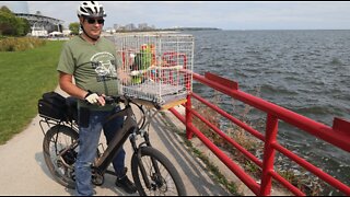 New Berlin 'Parrot Man' gets new bird for his bike