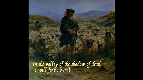 Shepherds and Sheep — Fear No Evil