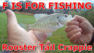 Rooster Tail Crappie