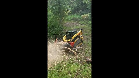 How Fast? Forestry Mulcher Clearing Trail