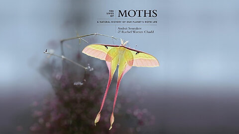 The Lives of Moths: A Natural History of Our Planet's Moth Life