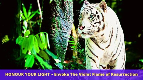 HONOUR YOUR LIGHT ~ Envoke The Violet Flame of Resurrection and Ascension - Blue Ray Transmissions