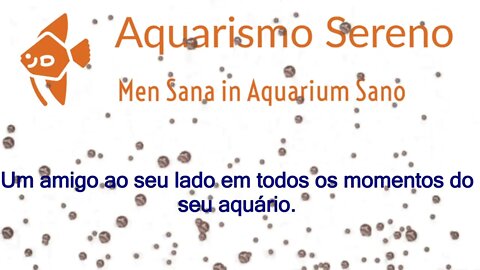 Aquarismo Sereno: Mais Que Canal, Seu Amigo Aquarista no Youtube