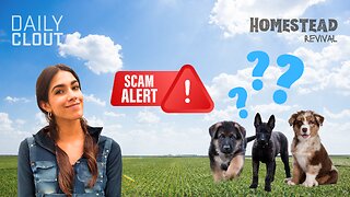 "Dog Breeder SCAMS and How We Got Our New Puppy!"