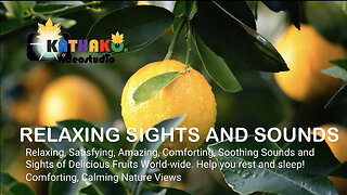 Relaxing, Satisfying, Amazing, Comforting, Soothing Sounds and Sights of Delicious Fruits World-wide
