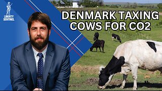 Solutions for Pollution and Denmark’s Shocking Carbon Tax