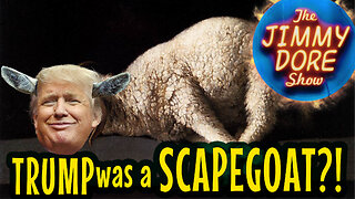 Trump was a scapegoat? | The Jimmy Dore Show w/ Kurt Metzger