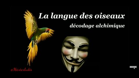 Sanctionner Les Connards Pour Qu'ils Réfléchissent à Deux Fois avant De L être à Nouveau