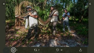 Conservancy of SWFL finds Florida’s largest python