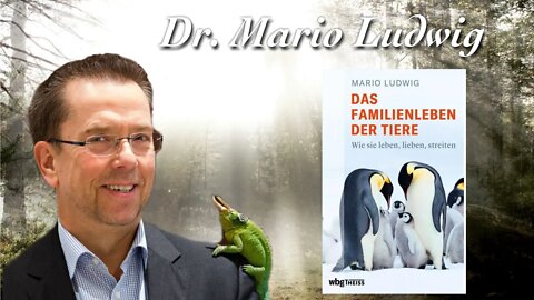 Eisbären im Knast - Dr. Mario Ludwig