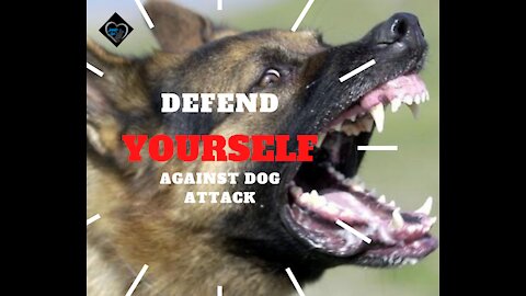 How to defend against a dog. Self defense against dog attack