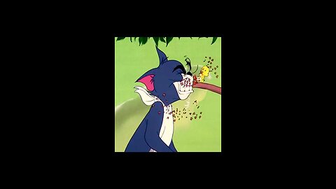 Tom and Jerry funny video and tom Jerry cartoon funny cartoon