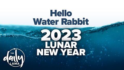 Hello Water Rabbit: 2023 Lunar New Year