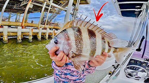 SHEEPSHEAD Fishing GAS RIGS! in the BAY with EPIC RESULTS!
