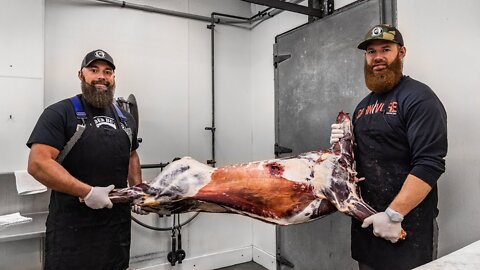 How to Butcher a Deer | The Bearded Butchers