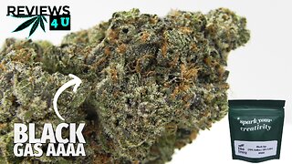 BLACK GAS ⛽ AAAA REVIEW | THC REVIEWS 4 U