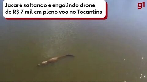Alligator leaps out of Brazilian river and snatches drone in mid flight