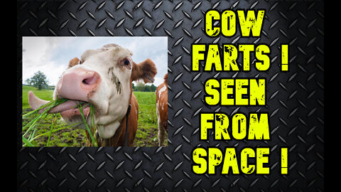 cow farts 🐄 seen from space ! Urgent ⛔️ Space View Of Methane Emissions From Cows