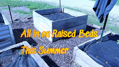 All in on Raised beds