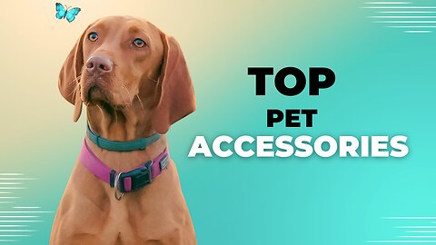 Best Accessorires For Pets/ cool gadgets ever for pets