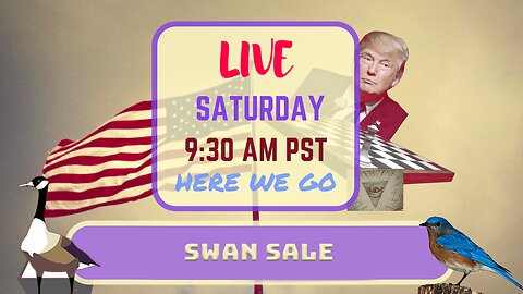 Saturday *LIVE* Swan Sale Edition