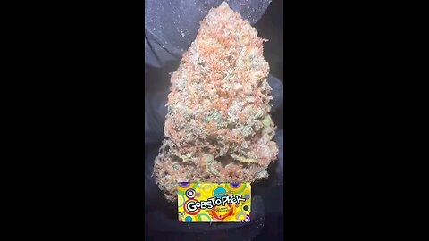 GOBSTOPPER [weed strain] Visuals CRAZY THC