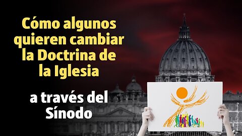 Cómo algunos quieren Cambiar la Doctrina de la Iglesia a través del Sínodo