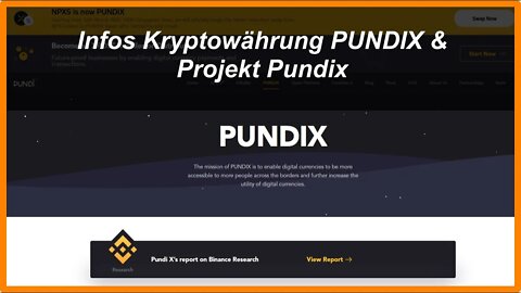 Infos über Kryptowährung PUNDIX und das Projekt Pundix