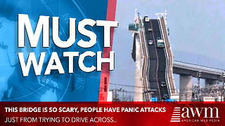 Scary Bridge In Japan Actually Gives Drivers Panic Attacks