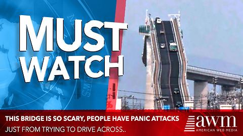 Scary Bridge In Japan Actually Gives Drivers Panic Attacks