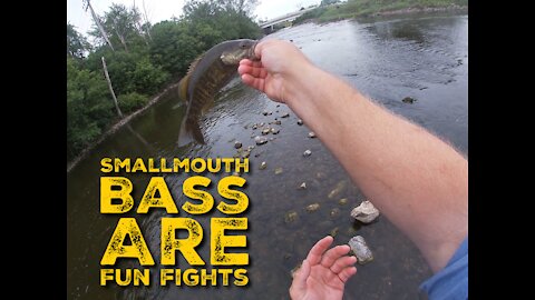 Catching smallmouth with a whopper plopper and underwater footage.