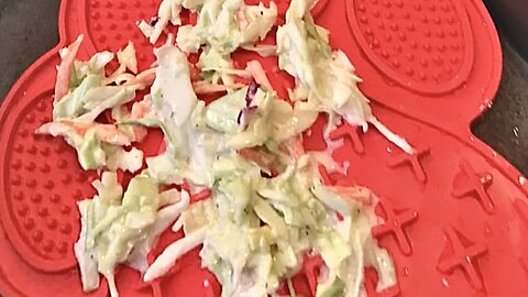 Dog Taste Delicious Homemade Coleslaw