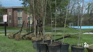 Baltimore County celebrates Earth Day with new trees